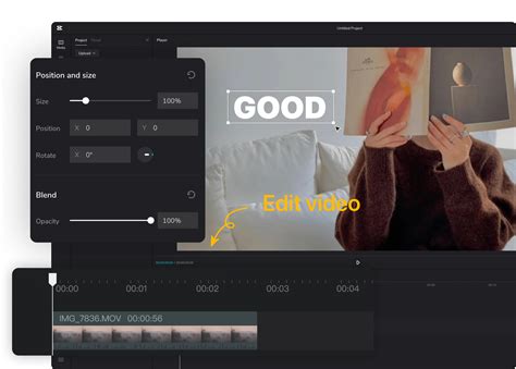 Free Online Video Editor .